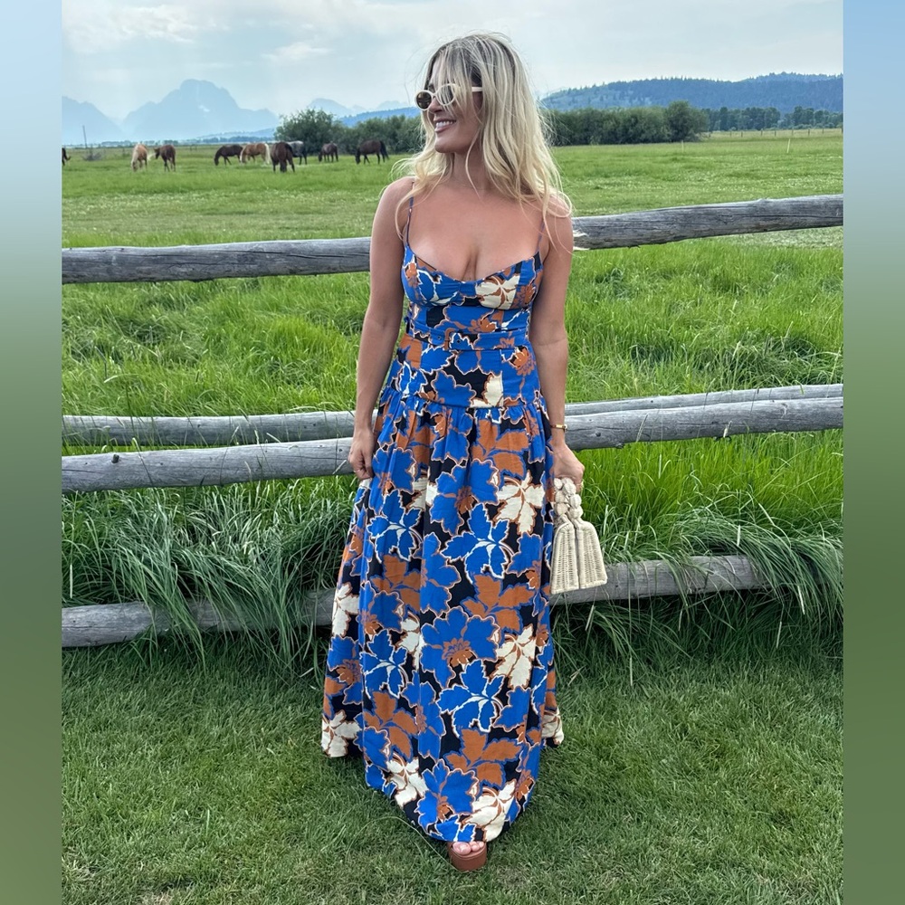 Karla Bustier Maxi Dress in Strong Blue & Multi Shona Joy Small 4